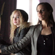 Illustration for article titled 10 Good Reasons to Watch Lost Girl, the TV Show About a Succubus Detective
